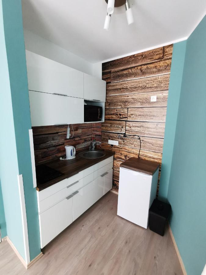 Apartman Mustang Klinovec Loučná pod Klínovcem エクステリア 写真